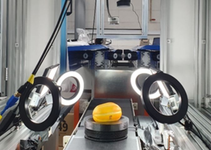 참외 3차원 영상 선별 시스템(영상 측정부)