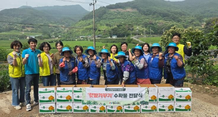 하동시니어클럽, 텃밭 가꿔 수확한 감자 이웃에 나눠