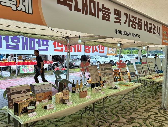 충북농기원, 단양마늘축제서 신품종·가공품 선보여