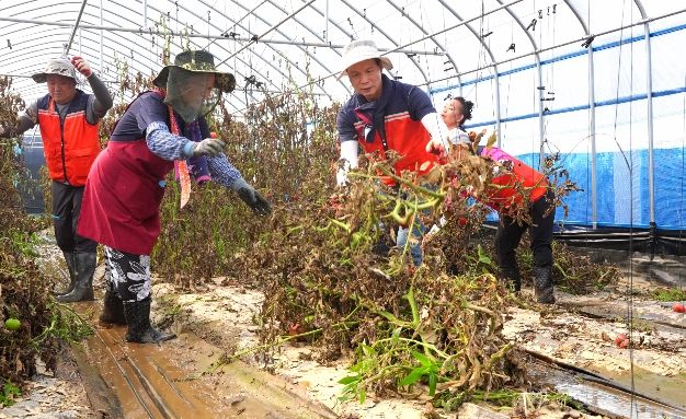 음성군, 집중호우 피해농가 찾아 복구활동 ‘구슬땀’