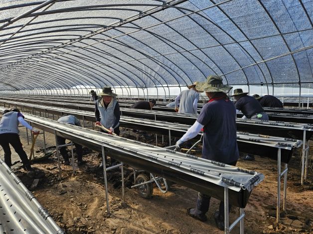 영동군의회, 산청군 수해 복구 현장에 따뜻한 손길 전해