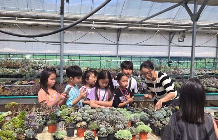 충북교육청, 몸튼튼 마음튼튼 여름방학 늘봄학교 운영