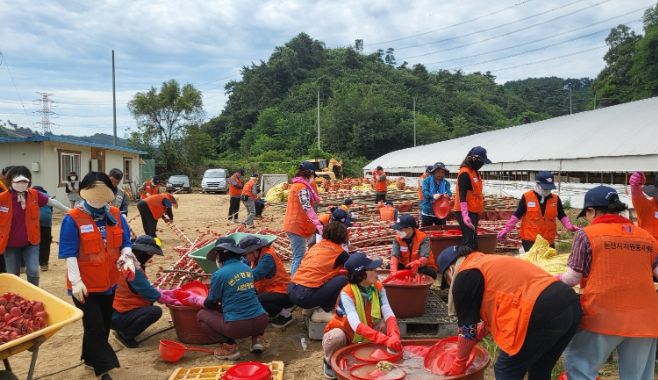 논산시자원봉사센터 당진시 봉사 현장